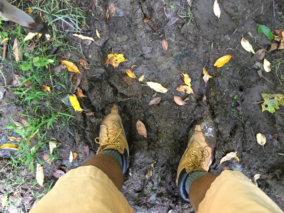 Muddy hiking boots on a trail